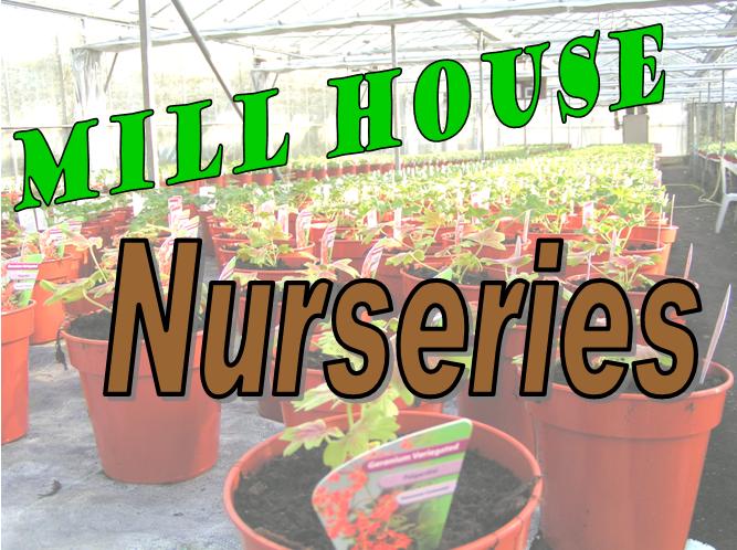 Click here for Mill House Nurseries